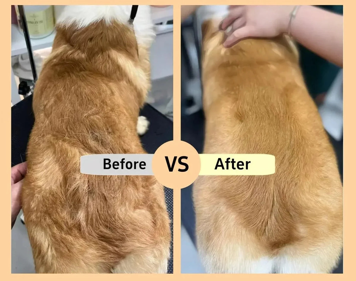 DivineFur Self-Cleaning Pet Hair and Flea Removal Comb