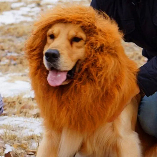 DivineFur- Fun Pet Wig - Lion Head Costume for Dogs