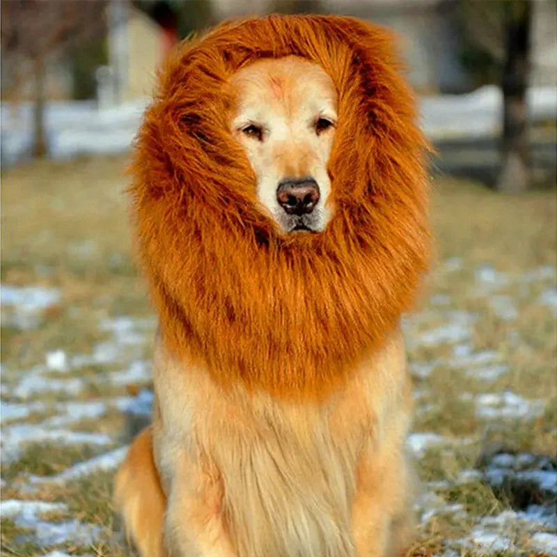 DivineFur- Fun Pet Wig - Lion Head Costume for Dogs