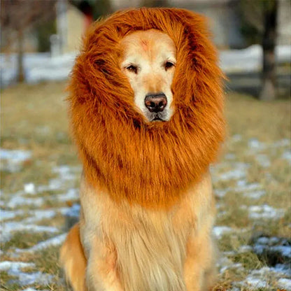 DivineFur- Fun Pet Wig - Lion Head Costume for Dogs